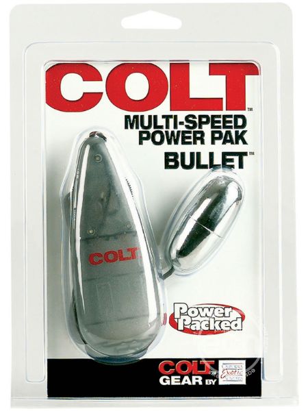 MULTI-SPEED POWER PAK BULLET WITH REMOTE CONTROL EGG - SILVER