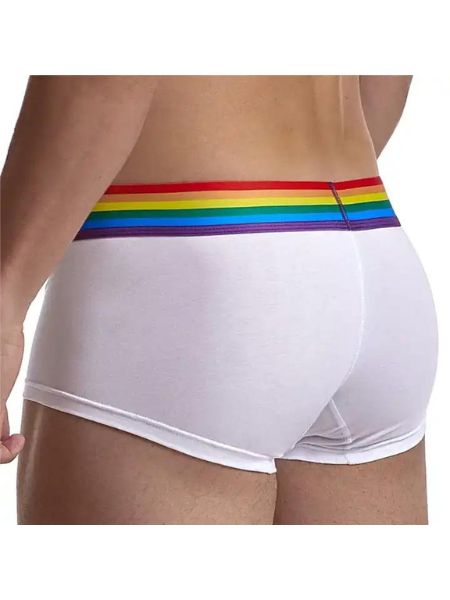 MEN'S COTTON BREATHABLE LGBT BOXER BRIEFS