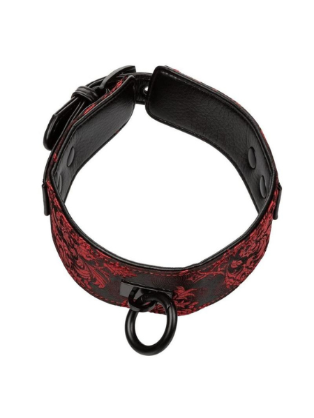 SCANDAL COLLAR WITH LEASH - RED/BLACK
