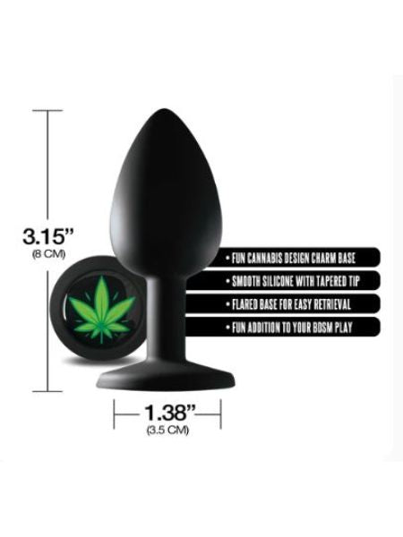 THE REAR ANAL PLUG COLLECTION