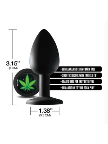 THE REAR ANAL PLUG COLLECTION