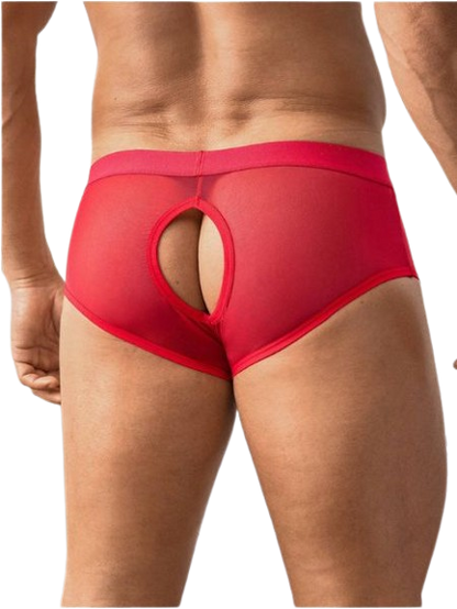 MANFINITY MEN'S SEXY REVEALING UNDERWEAR
