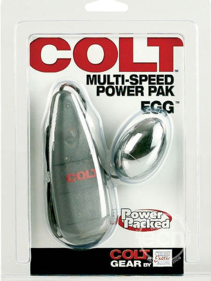 MULTI-SPEED POWER PAK EGG WITH REMOTE CONTROL - SILVER