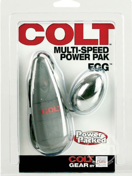 MULTI-SPEED POWER PAK EGG WITH REMOTE CONTROL - SILVER