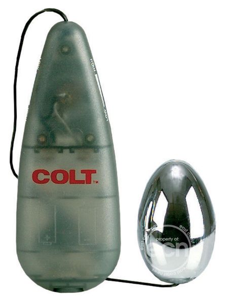 MULTI-SPEED POWER PAK EGG WITH REMOTE CONTROL - SILVER