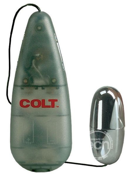 MULTI-SPEED POWER PAK BULLET WITH REMOTE CONTROL EGG - SILVER