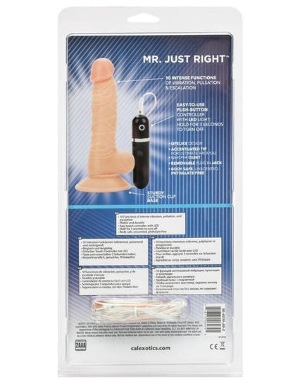 VIBRATING DILDO WITH BULLET 5.25