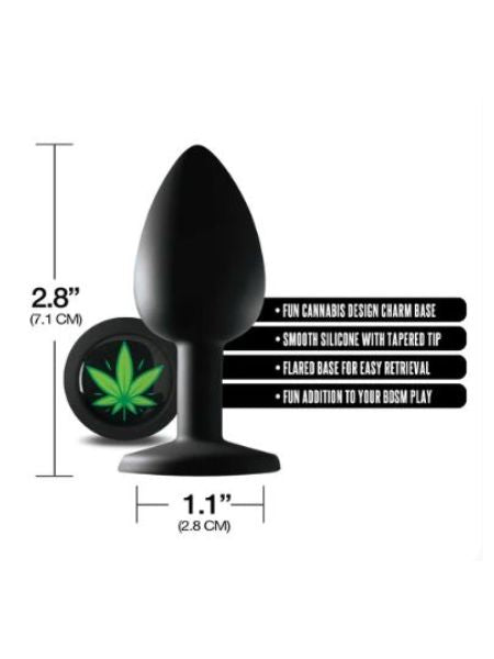 THE REAR ANAL PLUG COLLECTION