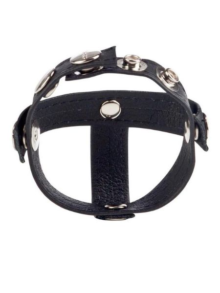 COLT LEATHER C/B STRAP H-PIECE DIVIDER COCK RING - BLACK