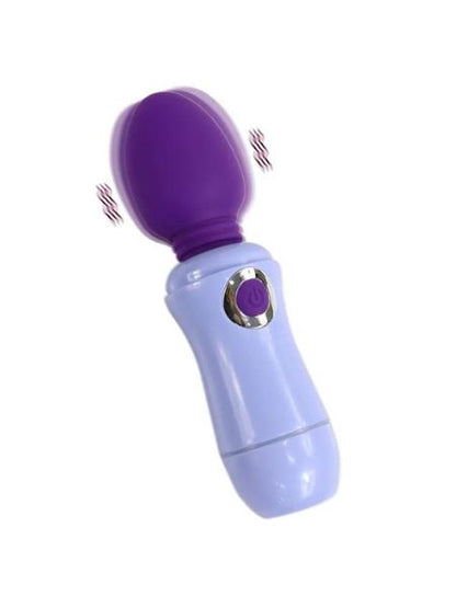 MINI WANG MASSAGER