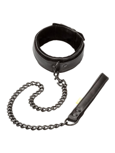 BOUNDLESS COLLAR & LEASH - BLACK