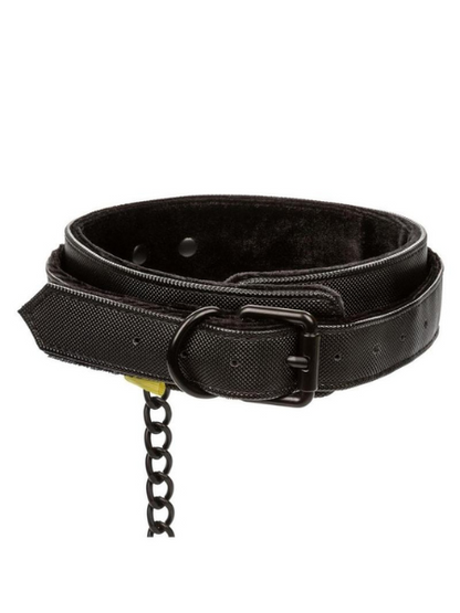 BOUNDLESS COLLAR & LEASH - BLACK